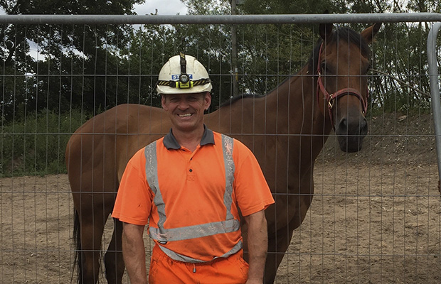 Story Contracting and Story Homes help create pasture for rescued racehorses