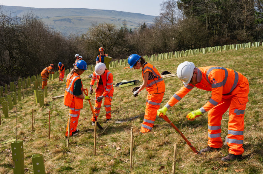 Hope Valley Railway Upgrade begins major biodiversity enhancements in local area