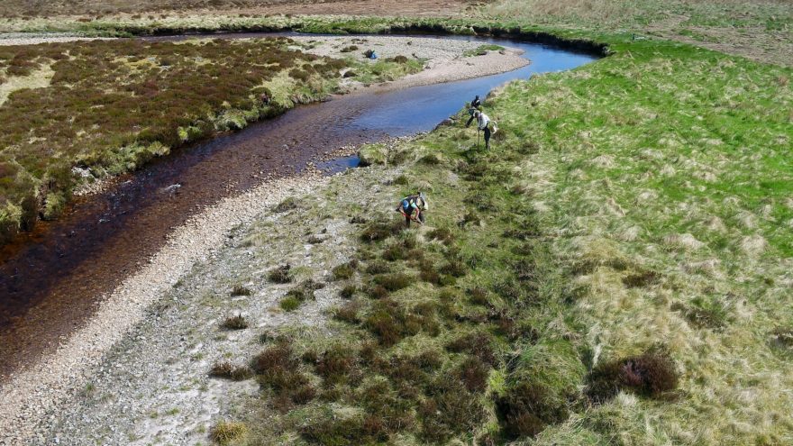 Scotland’s Railway plants seeds of sustainability at Highland reserve