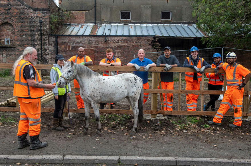 Story help refurb Park Palace Ponies in Liverpool